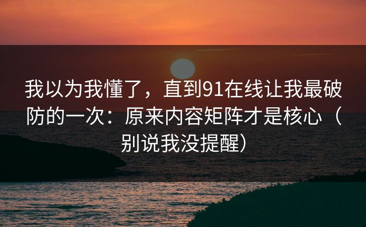 我以为我懂了，直到91在线让我最破防的一次：原来内容矩阵才是核心（别说我没提醒）