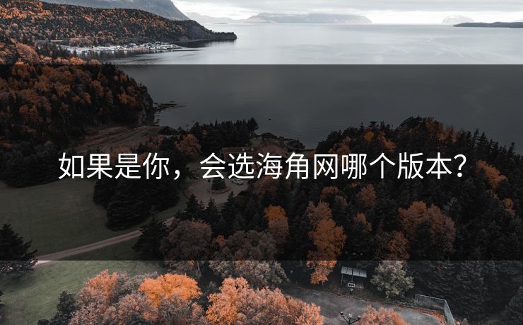 如果是你，会选海角网哪个版本？