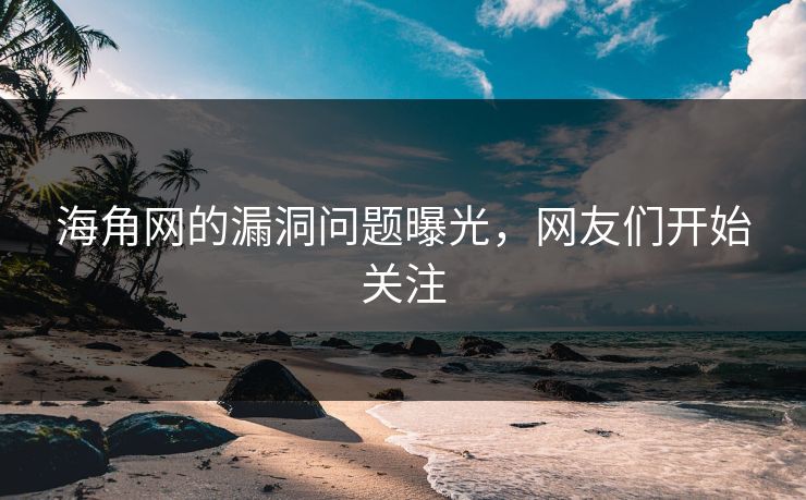 海角网的漏洞问题曝光，网友们开始关注
