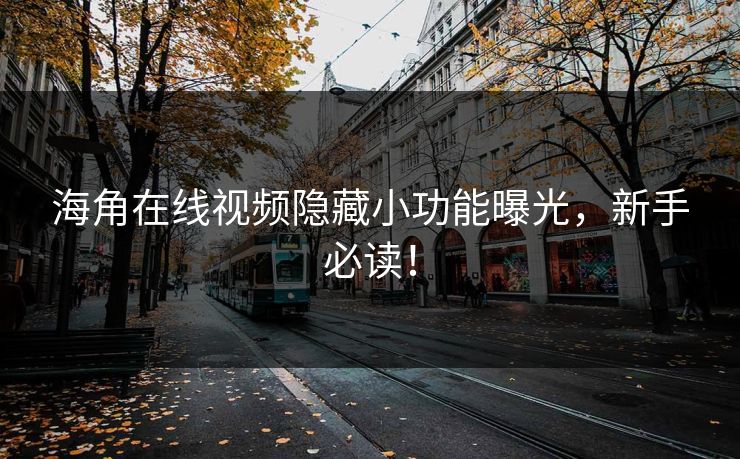 海角在线视频隐藏小功能曝光，新手必读！