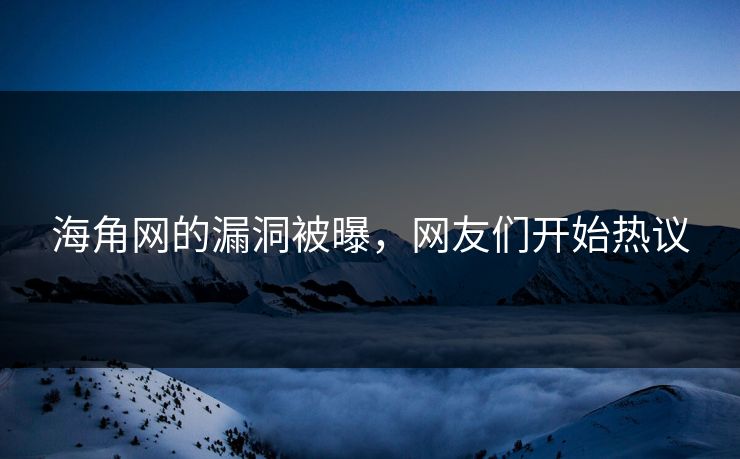 海角网的漏洞被曝，网友们开始热议