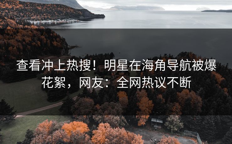 查看冲上热搜！明星在海角导航被爆花絮，网友：全网热议不断