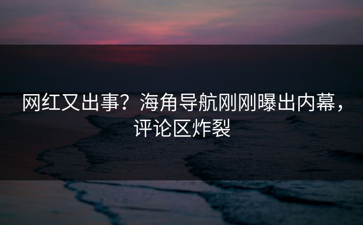 网红又出事？海角导航刚刚曝出内幕，评论区炸裂