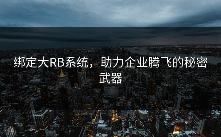 绑定大RB系统，助力企业腾飞的秘密武器