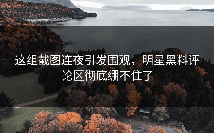 这组截图连夜引发围观,明星黑料评论区彻底绷不住了 这组截图连夜引发围观,明星黑料评论区彻底绷不住了